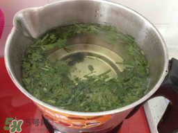 香菜煮水洗腎是真的嗎？香菜煮水洗腎是真的嗎