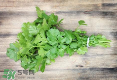香菜煮水洗腎是真的嗎？香菜煮水洗腎是真的嗎