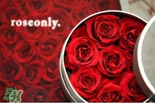 roseonly是怎么火起來的？roseonly值得買嗎？