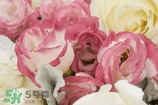 roseonly是怎么火起來的？roseonly值得買嗎？