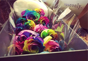 roseonly鮮花多少錢？roseonly永生花多少錢？