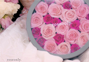 roseonly只能買一次嗎？roseonly如何送第二人？