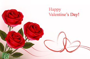 和女朋友的第一個情人節(jié)怎么過？和女朋友的第一個情人節(jié)怎么過比較浪漫？