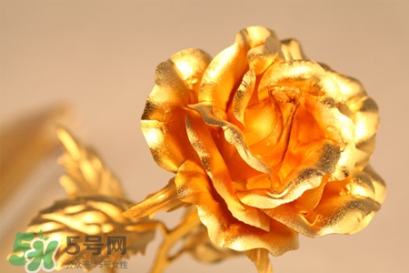 情人節(jié)可以送金玫瑰嗎？情人節(jié)送金玫瑰好嗎？