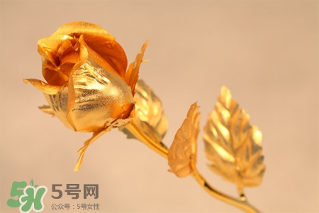 情人節(jié)可以送金玫瑰嗎？情人節(jié)送金玫瑰好嗎？