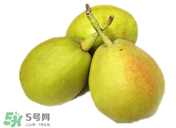 香梨多少錢一斤？香梨怎么挑選？