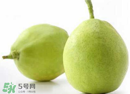 香梨多少錢一斤？香梨怎么挑選？