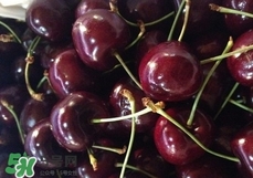 櫻桃為什么那么貴?櫻桃為什么這么貴? 櫻桃為什么那么貴?櫻桃為什么這么貴?