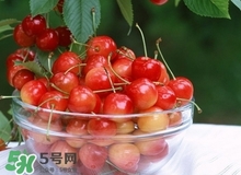 櫻桃為什么那么貴?櫻桃為什么這么貴? 櫻桃為什么那么貴?櫻桃為什么這么貴?