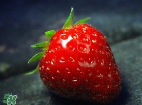 小孩多吃草莓好嗎？小孩可以摘草莓嗎？