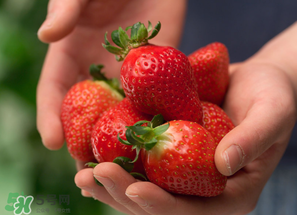 小孩咳嗽可以吃草莓嗎？小孩發(fā)燒可以吃草莓好？