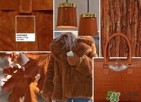 南瓜棕是什么顏色？南瓜棕口紅試色