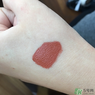 南瓜棕是什么顏色？南瓜棕口紅試色