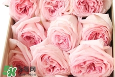 鮮花怎么養(yǎng)？鮮花怎么養(yǎng)放的比較久？