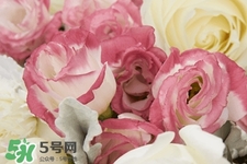 鮮花怎么養(yǎng)？鮮花怎么養(yǎng)放的比較久？