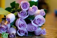 鮮花怎么養(yǎng)？鮮花怎么養(yǎng)放的比較久？