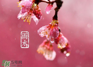 雨水吃什么？雨水節(jié)氣飲食禁忌？