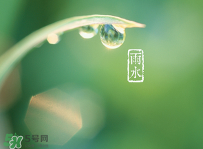 雨水吃什么？雨水節(jié)氣飲食禁忌？