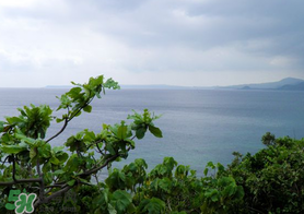 春天怎么還有霧霾？一年中霧霾高發(fā)期是哪個(gè)季節(jié)？