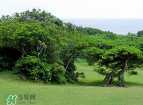 春天怎么還有霧霾？一年中霧霾高發(fā)期是哪個(gè)季節(jié)？