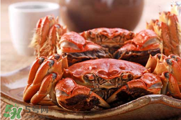 春天的螃蟹能吃嗎？開(kāi)春后大閘蟹能吃嗎？