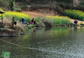 春天釣魚用什么餌料？春天釣魚用腥還是香？
