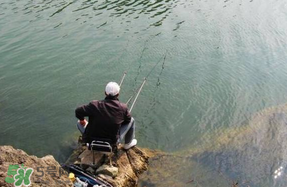 春天釣魚用什么餌料？春天釣魚用腥還是香？