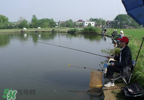 春天釣魚用什么餌料？春天釣魚用腥還是香？