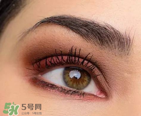 tom ford和香奈兒哪個好？tom ford和香奈兒對比