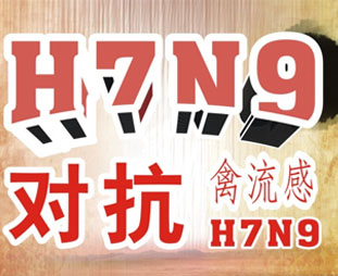 禽流感期間吃什么？預(yù)防禽流感吃什么好？