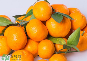 桔子批發(fā)多少錢一斤？桔子多少錢一斤？