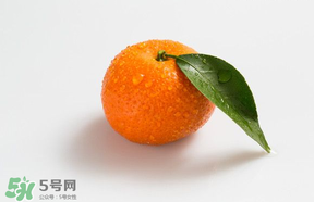 桔子批發(fā)多少錢一斤？桔子多少錢一斤？