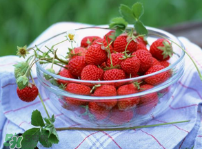 草莓多少錢一斤？草莓多少錢一斤2017？