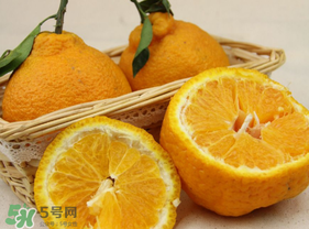 丑橘少錢一斤？丑橘一斤幾個(gè)？