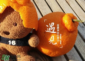 丑橘少錢一斤？丑橘一斤幾個(gè)？