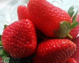奶油草莓多少錢一斤？奶油草莓價(jià)格