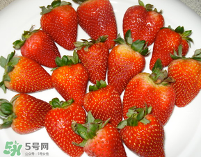 奶油草莓是什么品種？奶油草莓和巧克力草莓的區(qū)別 