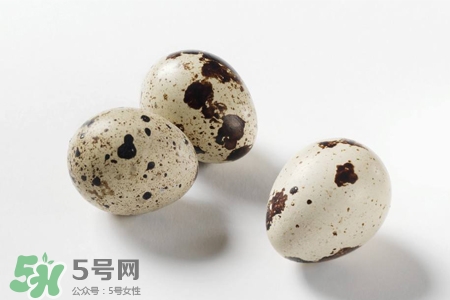 禽流感可以吃鵪鶉蛋嗎？禽流感期間能吃鵪鶉蛋嗎？