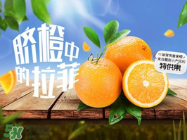 給寶寶吃臍橙好還是血橙好？臍橙好吃還是血橙好吃？