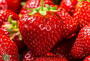 新鮮草莓怎么保鮮？新鮮草莓如何存放更久？