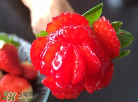 草莓花束怎么做？草莓花束怎么扎起來？