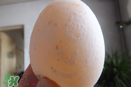 禽流感可以吃鴿子蛋嗎？禽流感期間能吃鴿子蛋嗎？