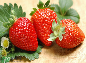 紅顏草莓為什么那么貴？紅顏草莓多少錢(qián)一斤？