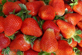 紅顏草莓為什么那么貴？紅顏草莓多少錢(qián)一斤？