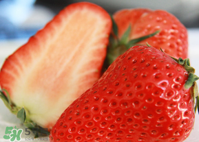 九九草莓多少錢一斤？99草莓價格是多少？