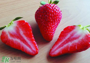 九九草莓多少錢一斤？99草莓價格是多少？