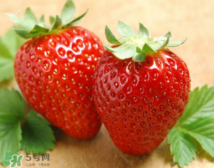 九九草莓好嗎？九九草莓和牛奶草莓區(qū)別 