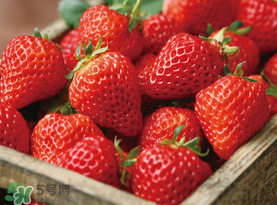 草莓空心能吃嗎？草莓空心怎么回事？