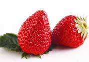 紅顏草莓為什么那么貴？紅顏草莓多少錢一斤？