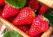 章姬和紅顏哪個好吃？章姬草莓和紅顏草莓的區(qū)別